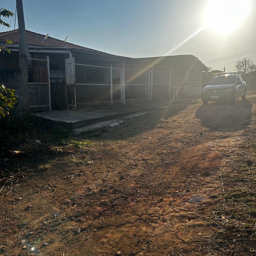 Casal é preso por furtar objetos e documentos pertencentes a ONG de animais abandonados