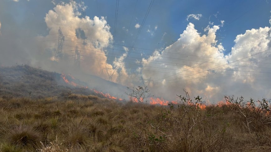Autor de incêndio em vegetação é preso em Poços de Caldas
