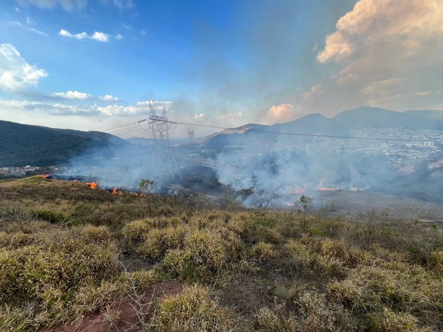 Autor de incêndio em vegetação é preso em Poços de Caldas
