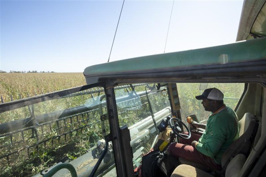 Produtor rural terá acesso a mentoria gratuita ao contratar crédito do BDMG para investir em agricultura sustentável