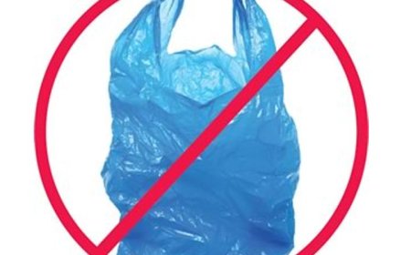 Muzambinho proíbe uso de sacolas plásticas às segundas-feiras em estabelecimentos comerciais