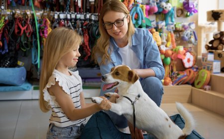Pesquisa da Fecomércio MG mostra a força e crescimento do mercado Pet em Minas