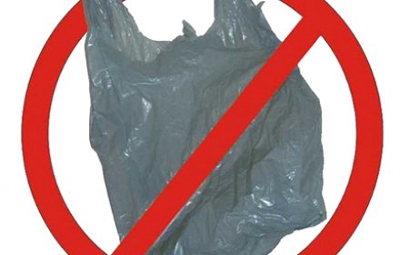 Associação Comercial de Muzambinho solicita revogação de lei que proíbe uso de sacolas plásticas às segundas-feiras no município