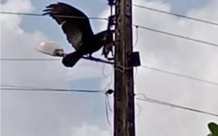 Em Guaxupé, interrupções de energia elétrica no bairro NS das Dores têm causas diversas