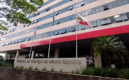 Homem é condenado pelo TJMG por atropelar gato propositalmente em Guaranésia