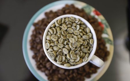 Impulsionadas pelo café, exportações do agro em Minas lideram ranking nacional