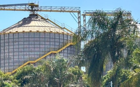 Produtores rurais terão nova linha de crédito do BDMG para investir em práticas sustentáveis e acessar novos mercados