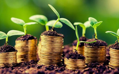 Alerta de mercado: golpes e insegurança ameaçam produtores rurais