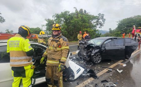 Corolla e Peugeot batem de frente na BR-459, levando idosa a óbito e deixando quatro feridos