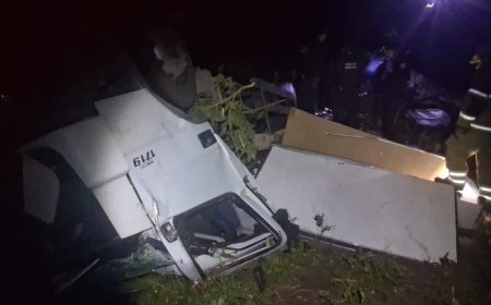 Caminhoneiro de 32 anos morre em capotamento na BR-459