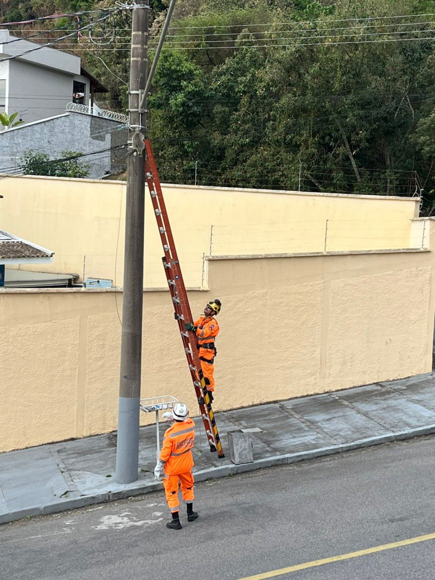 Bombeiros resgatam ouriço preso em linha de telefonia no Sul de Minas