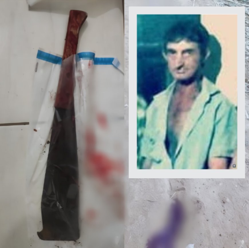 Homem acusado de matar o irmão em Monte Belo é preso em Hortolândia