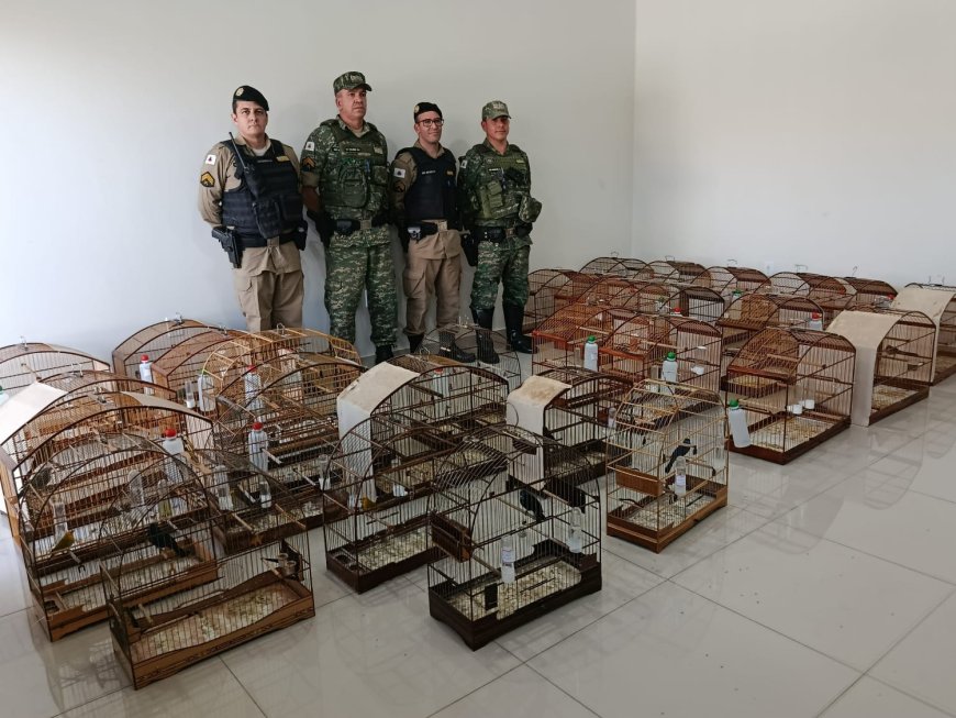 Mais de 30 aves em cativeiro são apreendidas pela polícia no Sul de Minas