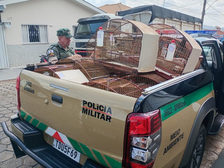 Mais de 30 aves em cativeiro são apreendidas pela polícia no Sul de Minas