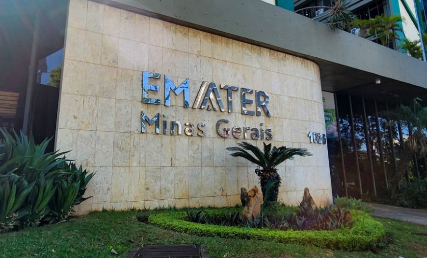 Governo de Minas autoriza novo concurso da Emater com 105 vagas