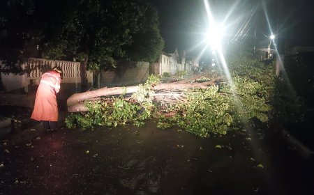 Tempestade deixa rastro de destruição em Guaxupé
