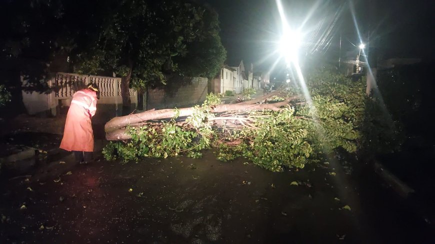 Tempestade deixa rastro de destruição em Guaxupé