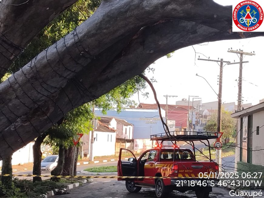 Tempestade deixa rastro de destruição em Guaxupé