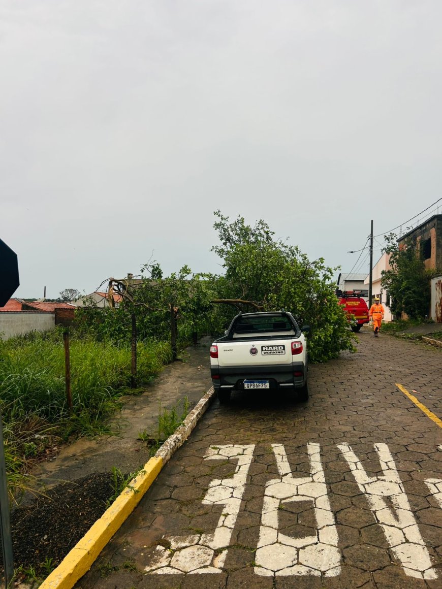 Forte tempestade em Fama provoca vários prejuízos no município
