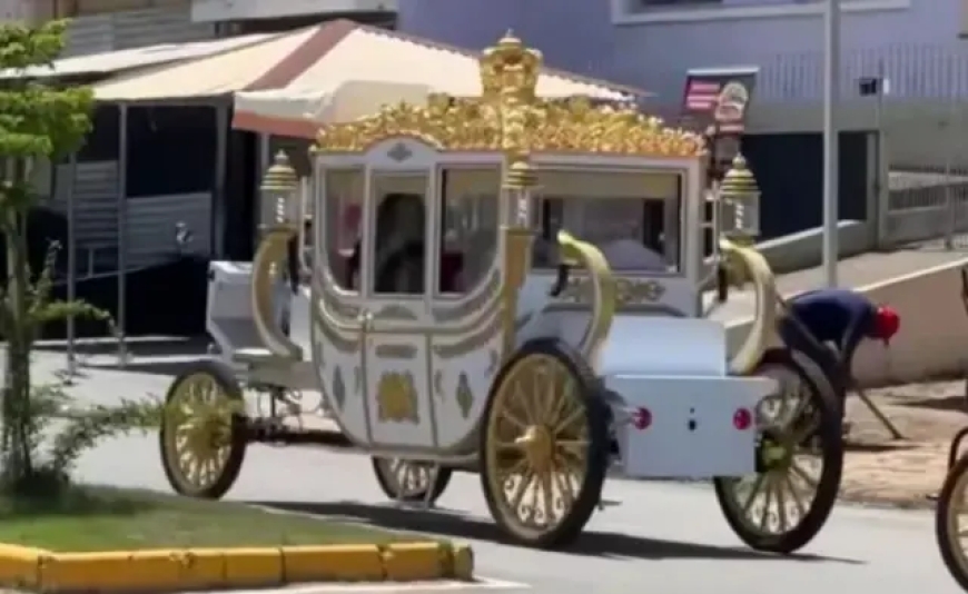 Cidade do Sul de Minas inicia mudança para acabar com as charretes puxadas por animais