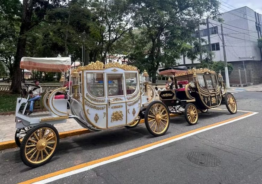Cidade do Sul de Minas inicia mudança para acabar com as charretes puxadas por animais