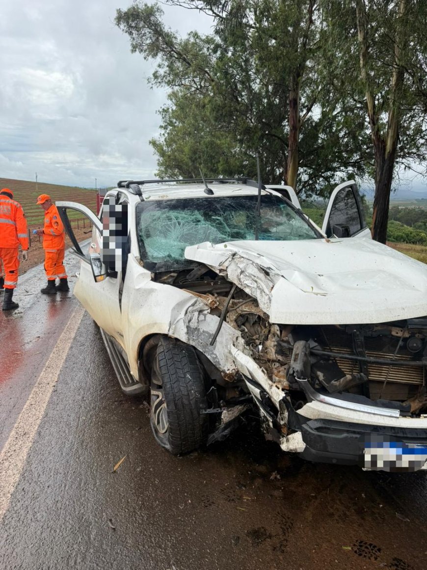 Homens ficam feridos após veículo colidir com árvore na MG-167