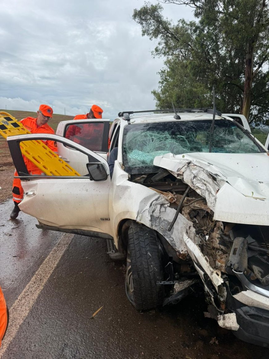 Homens ficam feridos após veículo colidir com árvore na MG-167