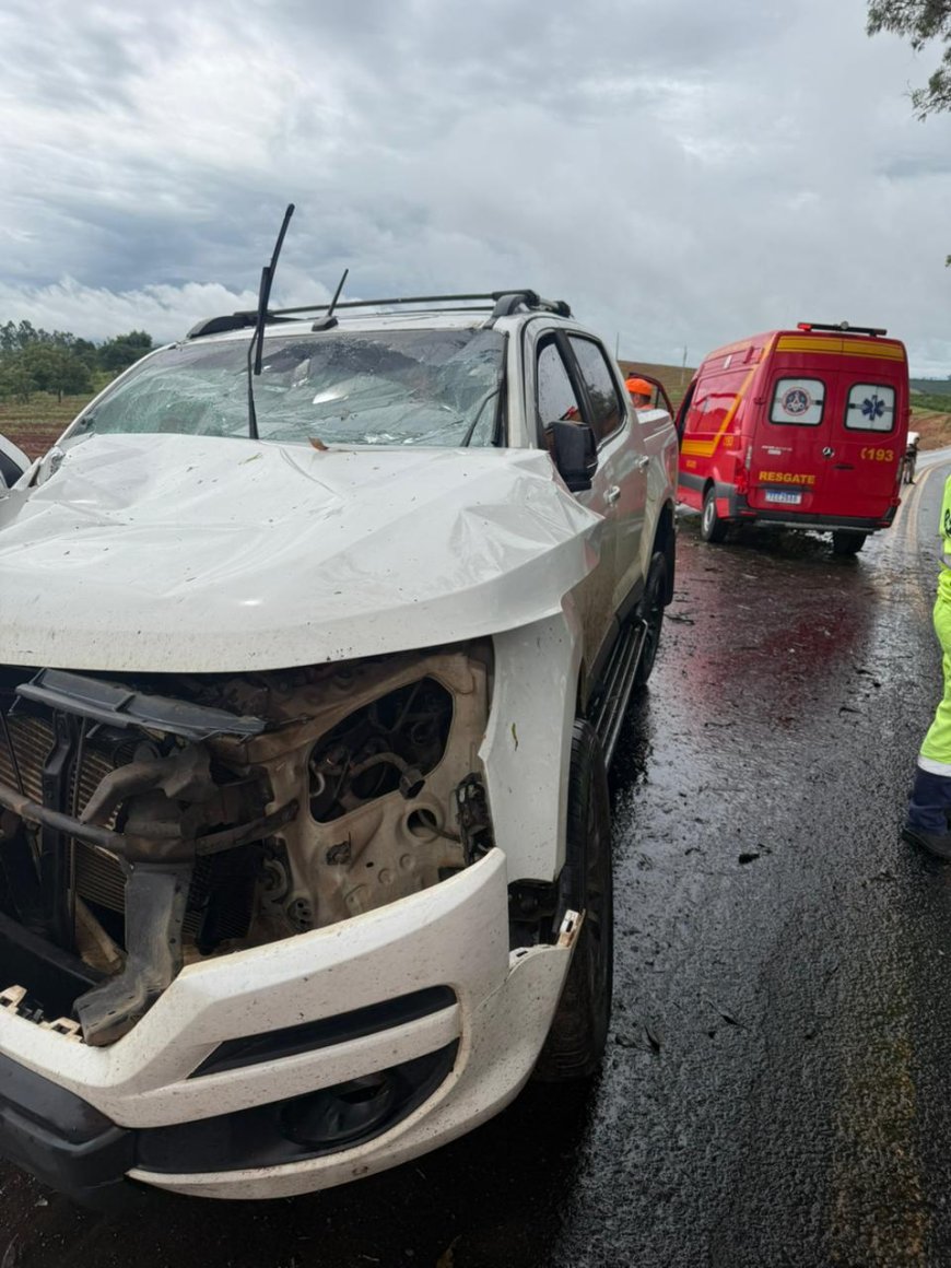 Homens ficam feridos após veículo colidir com árvore na MG-167