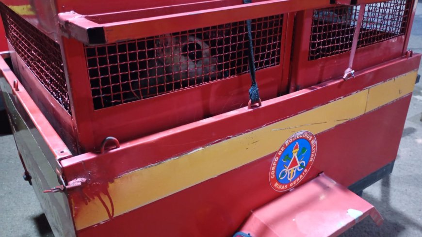 Mãe vai socorrer a filha e sofre ataque de Pit Bull em Paraíso