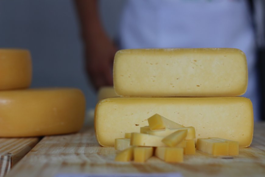 Mestrado vai capacitar técnicos da Emater-MG para atuação com queijos artesanais