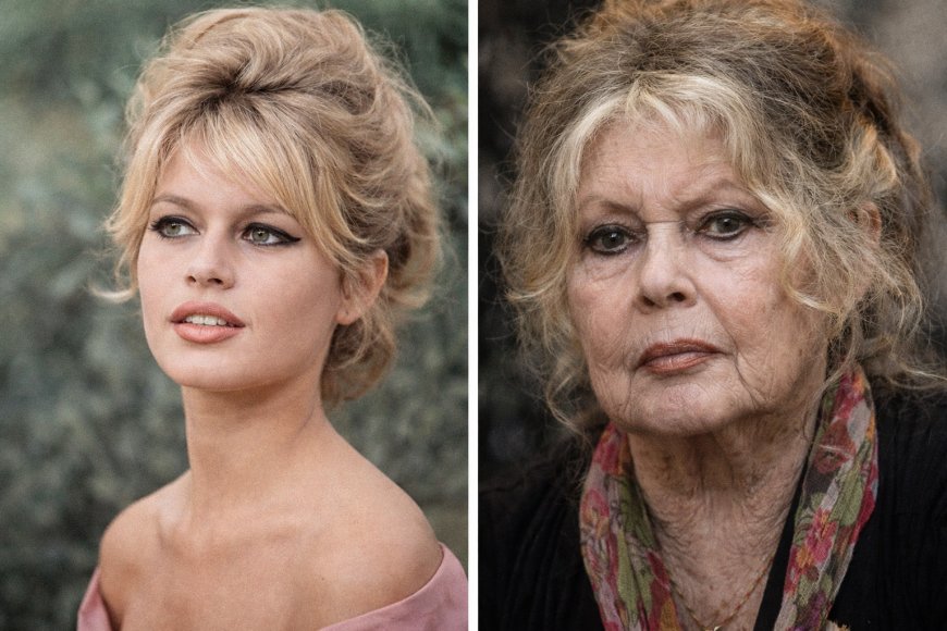 Brigitte Bardot, ícone do cinema mundial e ativista animal, morre aos 91 anos