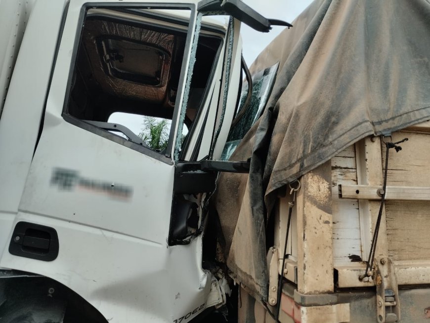 Condutor de caminhão fica preso às ferragens após colisão na rodovia MGC-491
