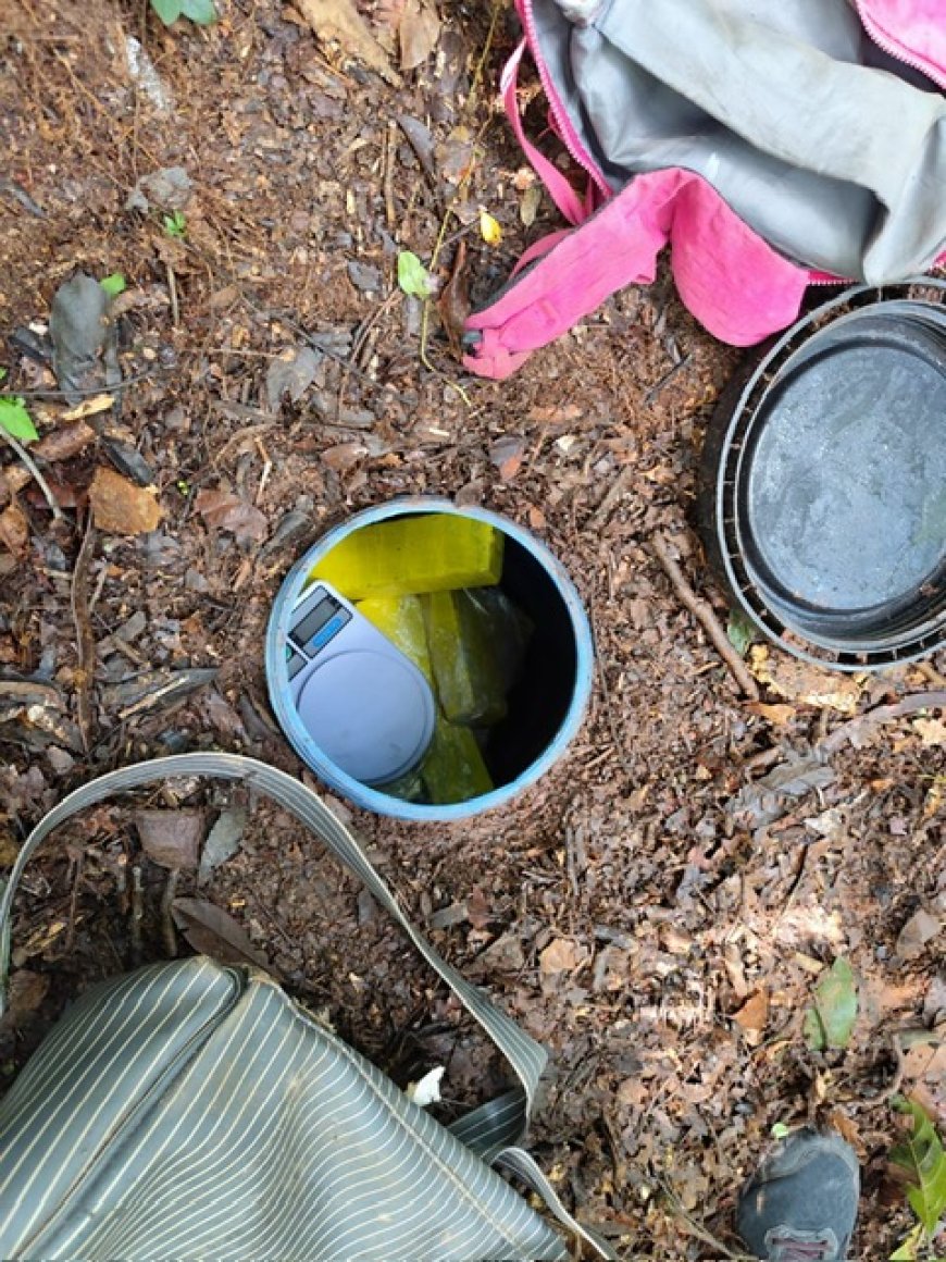 Polícia Militar localiza e apreende drogas escondidas em mata na zona rural de Monte Santo de Minas