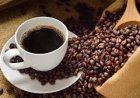 Safra de café no Brasil poderá bater recorde em 2026