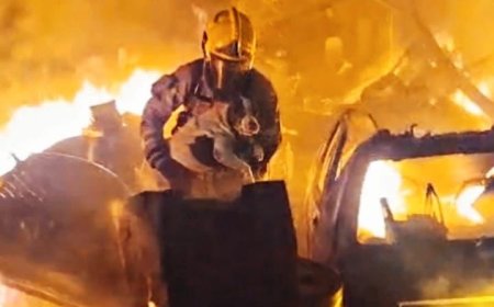 Em ato heróico, bombeiro salva cachorra em incêndio às margens da BR-459