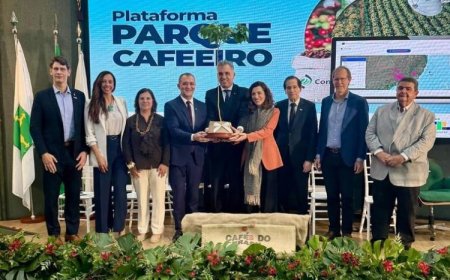 Conab lança plataforma para certificar café brasileiro como livre de desmatamento