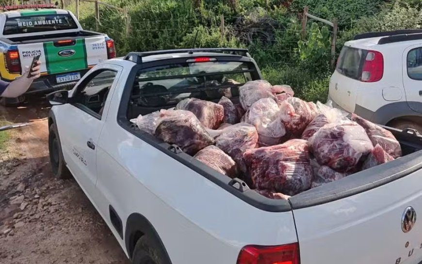 Absurdo: Cavalos podem ter sofrido maus-tratos em abate clandestino no interior de Minas