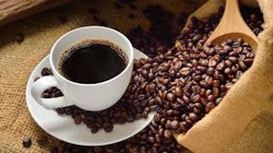 Safra de café no Brasil poderá bater recorde em 2026