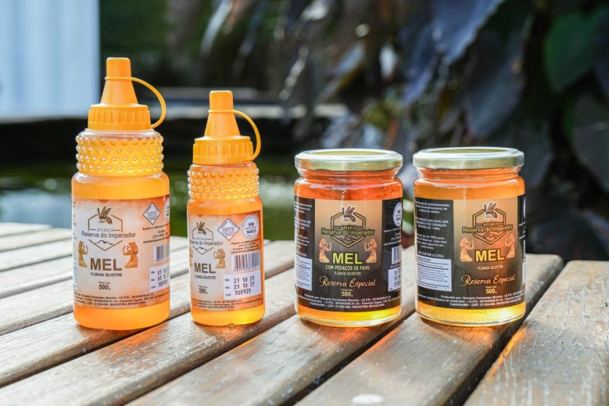 Agricultor diversifica produção por meio da apicultura em Minas