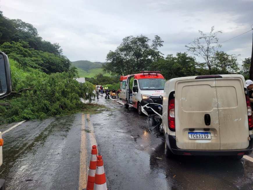 Ao tentar desviar de árvore, condutor bate de frente com outro veículo na MG-050