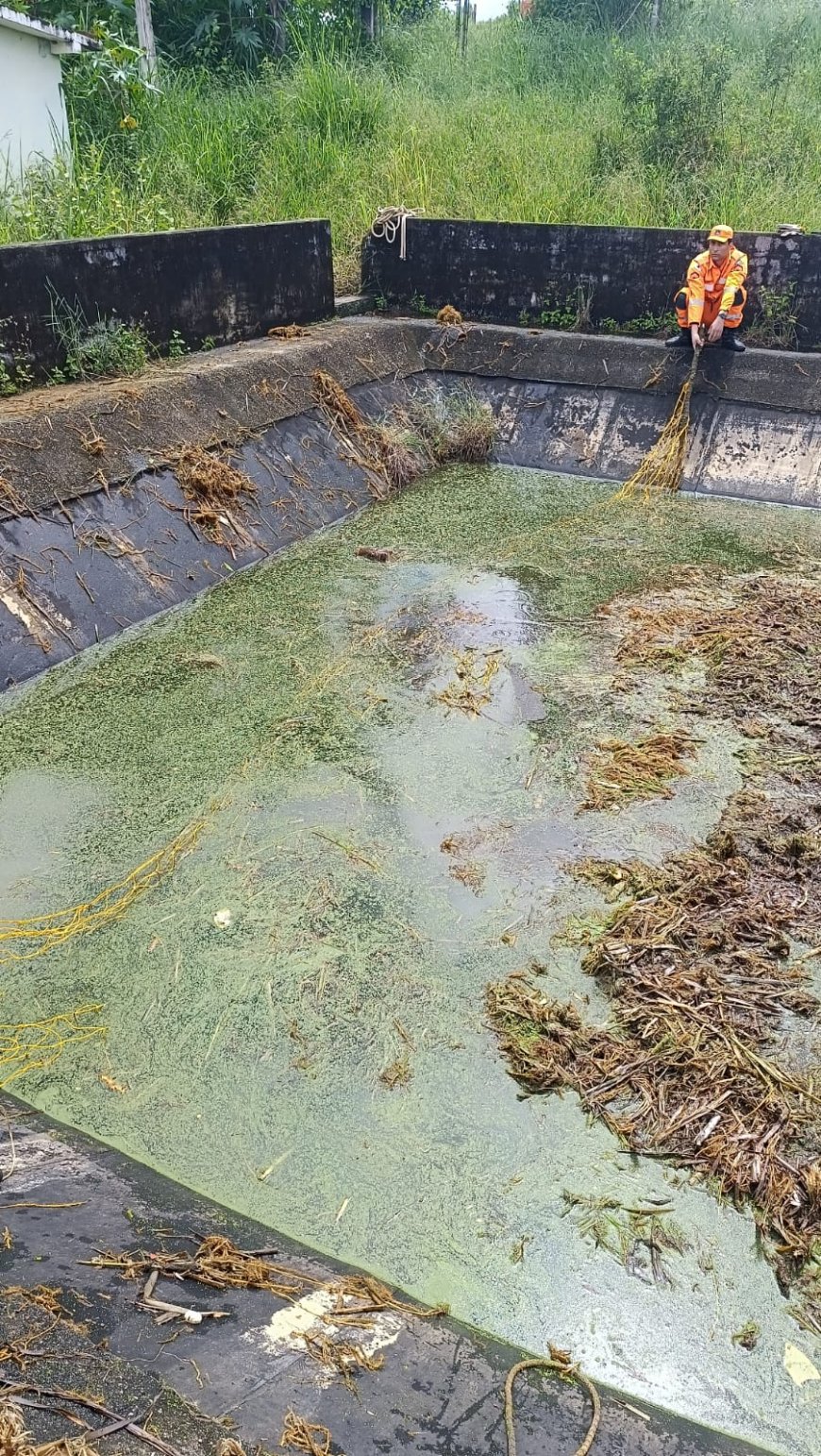 Bombeiros gastam três horas para resgatar capivara caída em reservatório