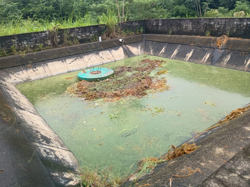 Bombeiros gastam três horas para resgatar capivara caída em reservatório