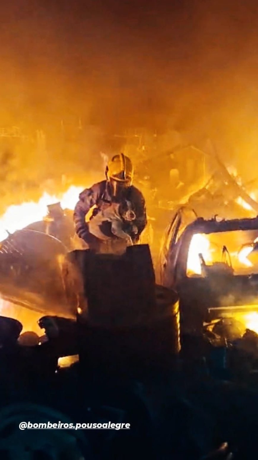 Em ato heróico, bombeiro salva cachorra em incêndio às margens da BR-459