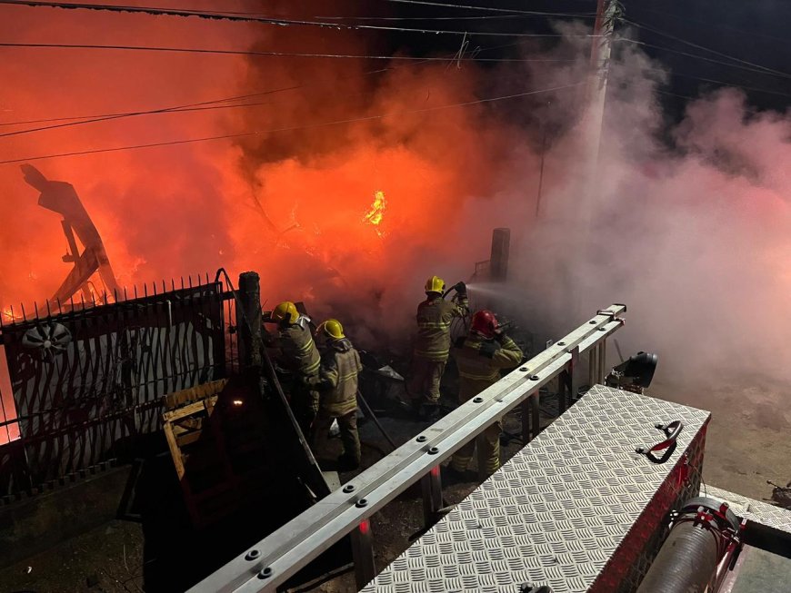 Em ato heróico, bombeiro salva cachorra em incêndio às margens da BR-459