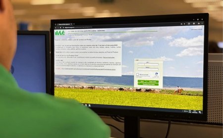 Produtores rurais de Minas Gerais podem emitir documentos sanitários e acessar serviços sem sair de casa