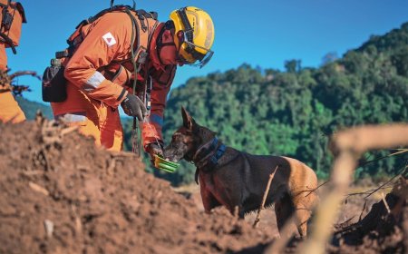 Corpo de Bombeiros Militar de Minas Gerais abre 342 vagas em concurso público com salários que podem chegar a R$ 11 mil