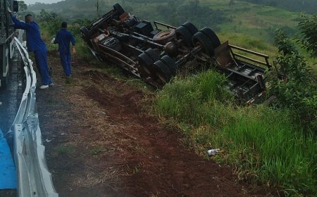 Motorista dorme ao volante e capota caminhão carregado com caixas de frango na MGC-491