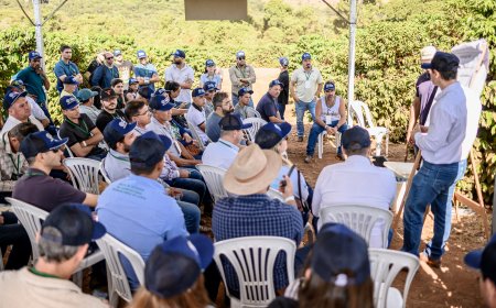Fundação Procafé promove Dias de Campo 2026