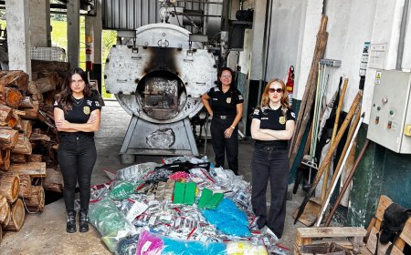 Drogas são incineradas pela Polícia Civil no Sul de Minas