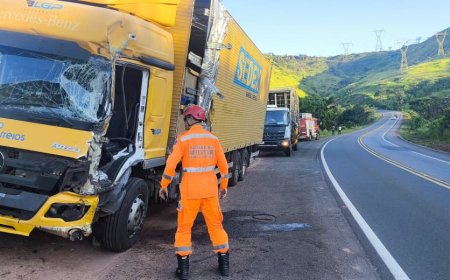 Porta de caminhão é arrancada após violenta colisão frontal na BR-491